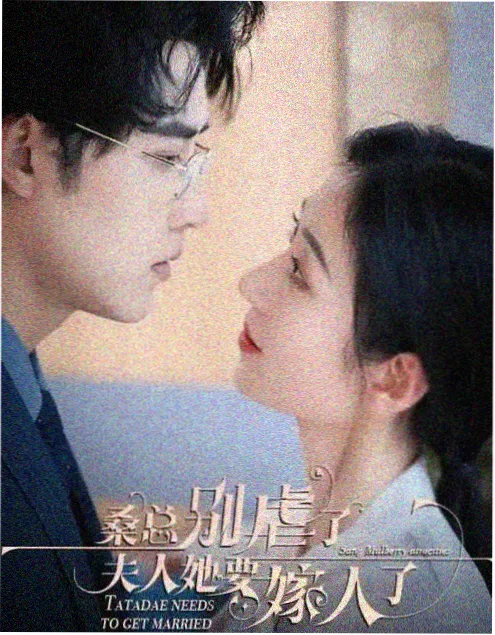 雪落长街 电视剧全集免费观看